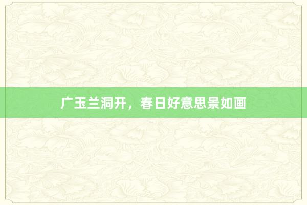 广玉兰洞开，春日好意思景如画