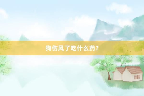 狗伤风了吃什么药？