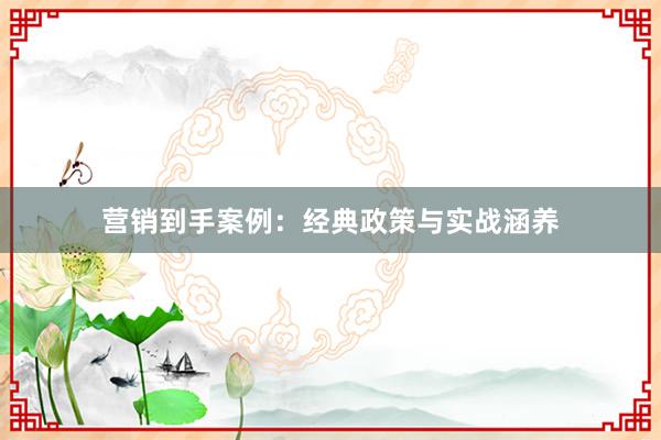 营销到手案例：经典政策与实战涵养